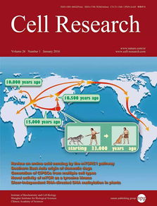 学术期刊影响因子大公开：一窥究竟，揭秘学术圈的秘密武器！