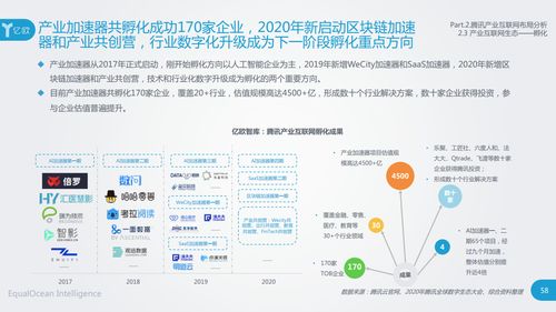 学术研究项目案例分析报告