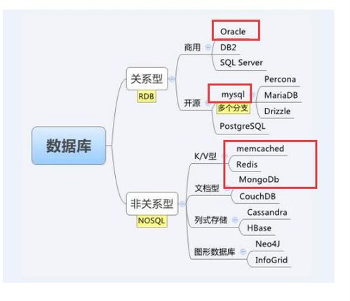 个人知识数据库